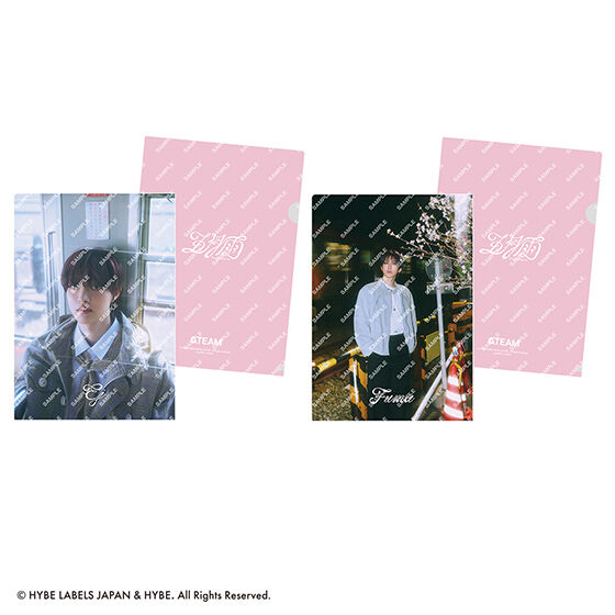 &team clear file collection